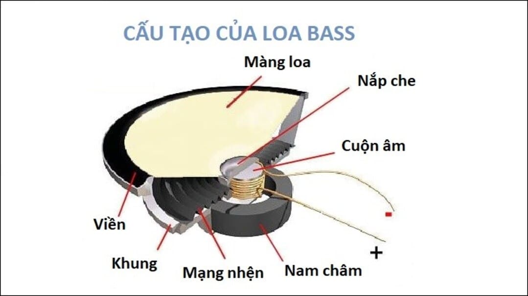 Cấu tạo của loa bass